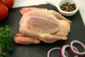 Pigeonneaux | Deux parts